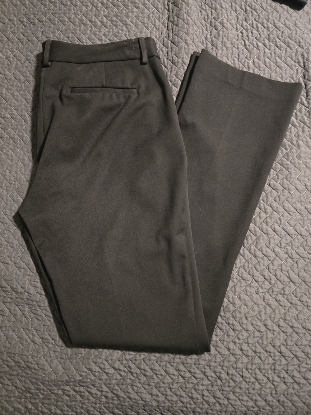 Express Dress Pants
